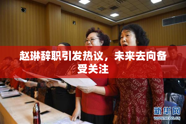 赵琳辞职引发热议，未来去向备受关注