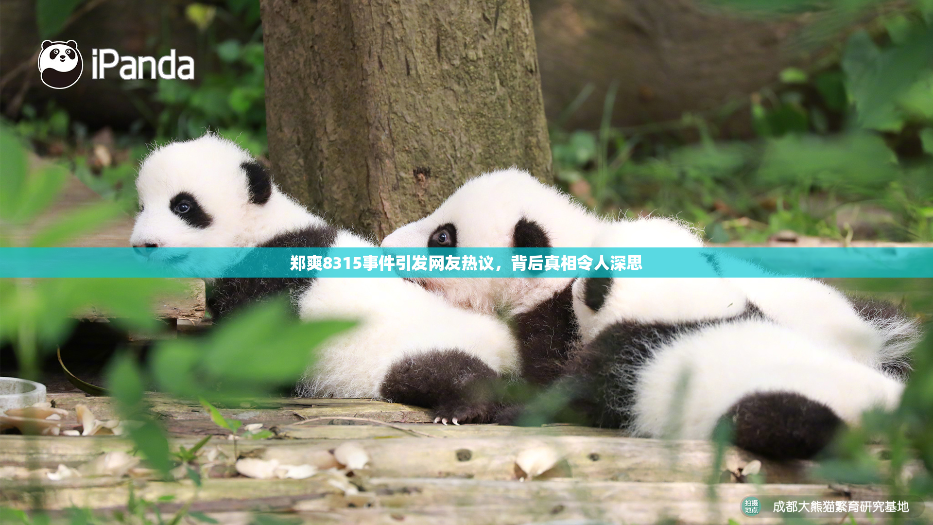 郑爽8315事件引发网友热议，背后真相令人深思