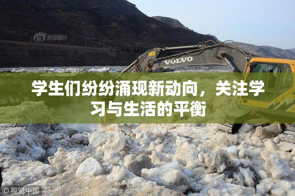 学生们纷纷涌现新动向，关注学习与生活的平衡