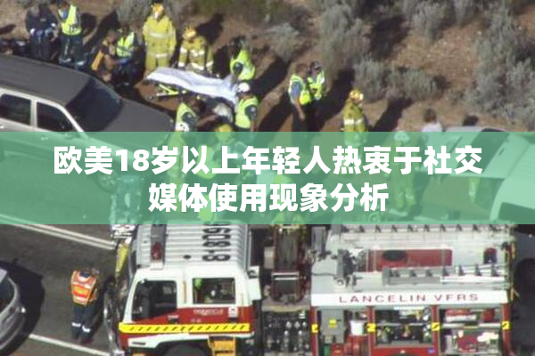 欧美18岁以上年轻人热衷于社交媒体使用现象分析