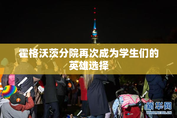 霍格沃茨分院再次成为学生们的英雄选择