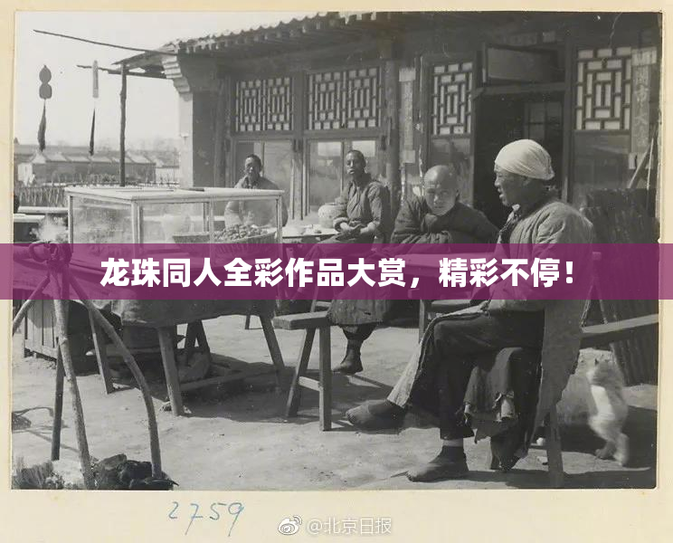 龙珠同人全彩作品大赏，精彩不停！