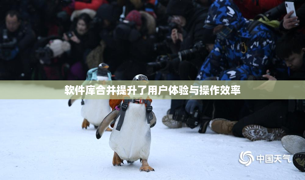 软件库合并提升了用户体验与操作效率