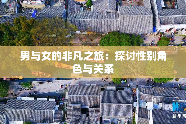 男与女的非凡之旅：探讨性别角色与关系