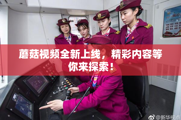 蘑菇视频全新上线，精彩内容等你来探索！