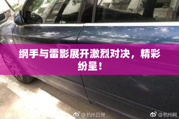 纲手与雷影展开激烈对决，精彩纷呈！