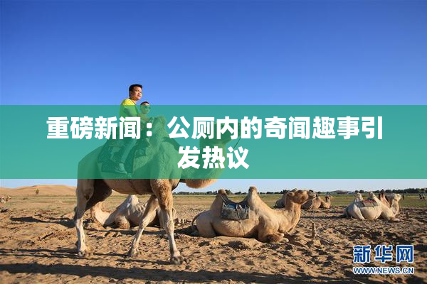 重磅新闻：公厕内的奇闻趣事引发热议