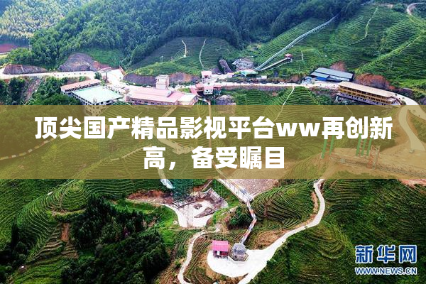 顶尖国产精品影视平台ww再创新高，备受瞩目