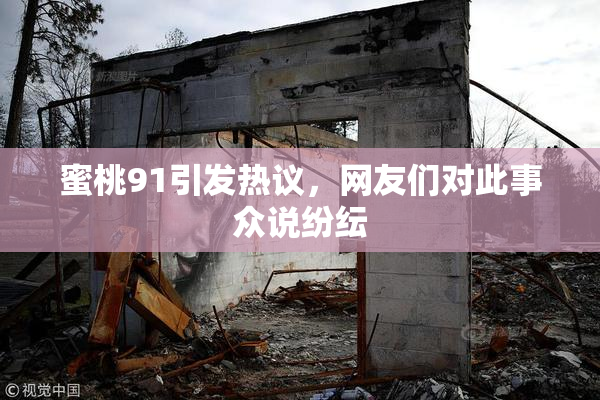 蜜桃91引发热议，网友们对此事众说纷纭