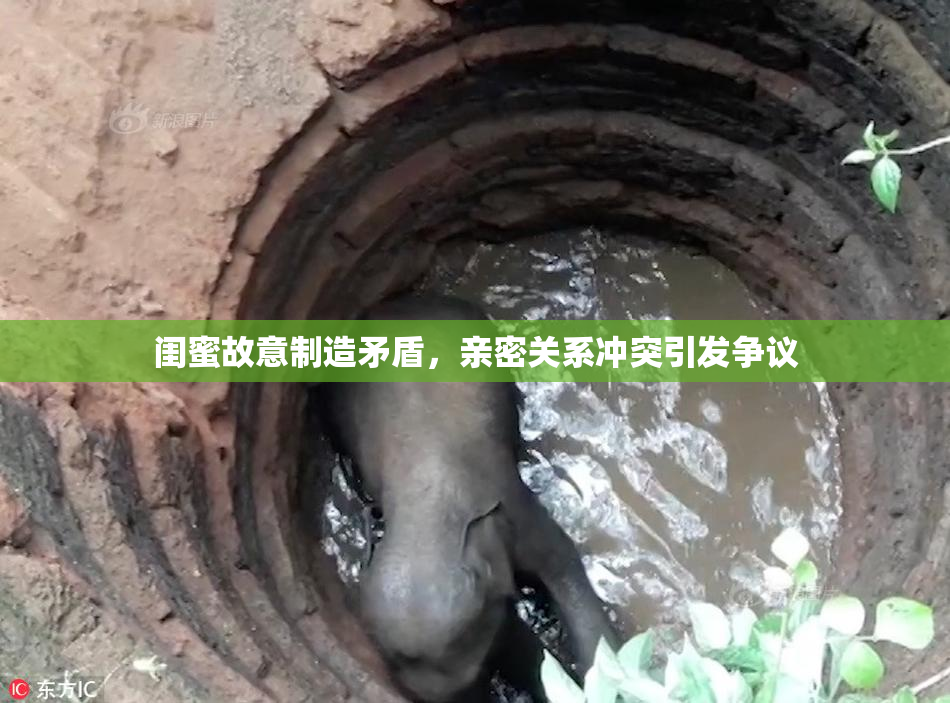 闺蜜故意制造矛盾，亲密关系冲突引发争议
