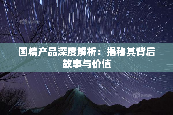 国精产品深度解析：揭秘其背后故事与价值