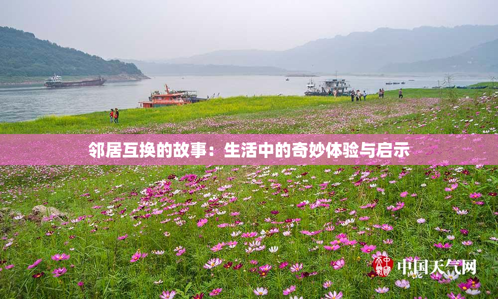 邻居互换的故事：生活中的奇妙体验与启示