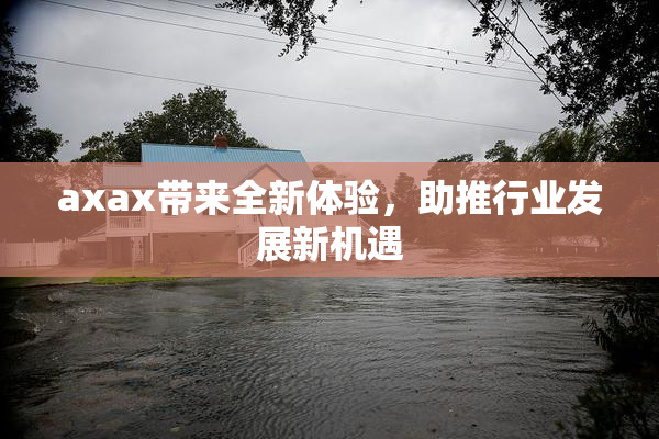 axax带来全新体验，助推行业发展新机遇