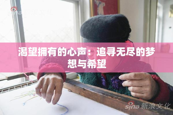 渴望拥有的心声：追寻无尽的梦想与希望