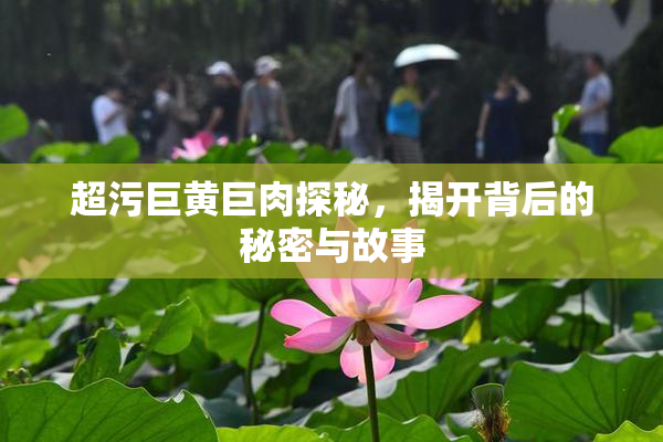 超污巨黄巨肉探秘，揭开背后的秘密与故事