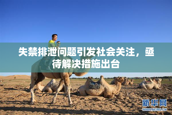 失禁排泄问题引发社会关注，亟待解决措施出台