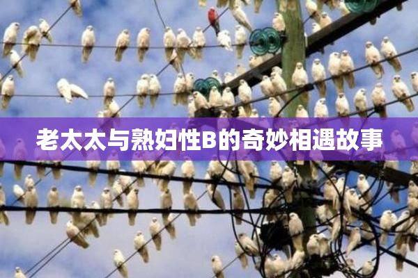 老太太与熟妇性B的奇妙相遇故事
