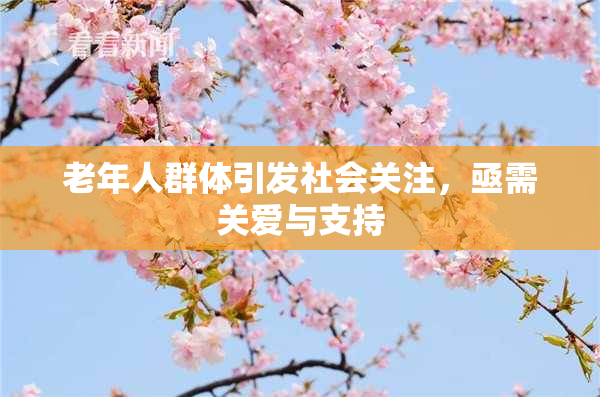 老年人群体引发社会关注，亟需关爱与支持