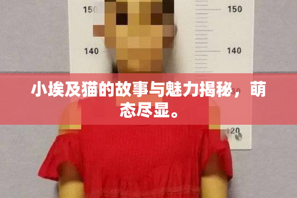 小埃及猫的故事与魅力揭秘，萌态尽显。