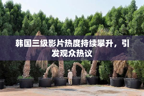 韩国三级影片热度持续攀升，引发观众热议
