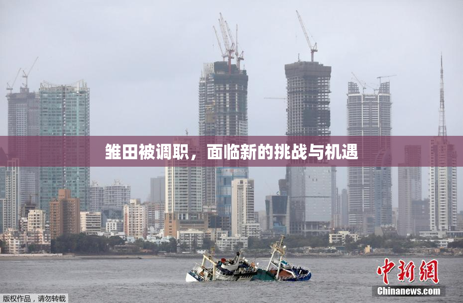 雏田被调职，面临新的挑战与机遇
