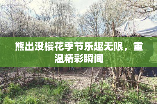 熊出没樱花季节乐趣无限，重温精彩瞬间
