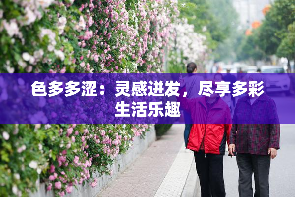 色多多涩：灵感迸发，尽享多彩生活乐趣