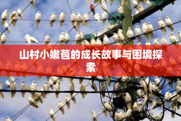 山村小嫩苞的成长故事与困境探索
