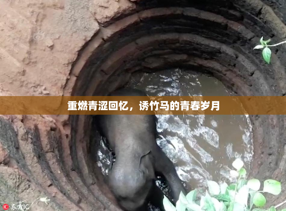 重燃青涩回忆，诱竹马的青春岁月