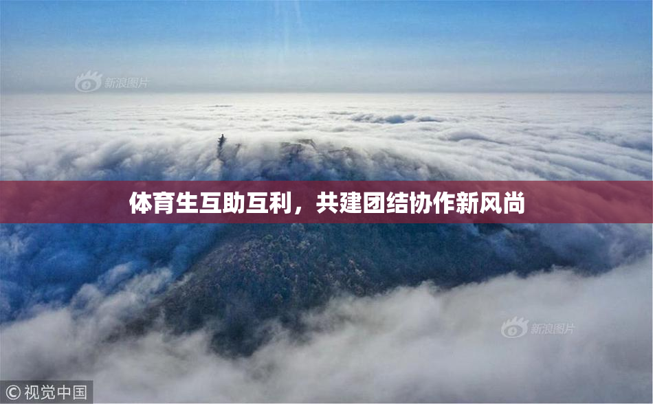 体育生互助互利，共建团结协作新风尚