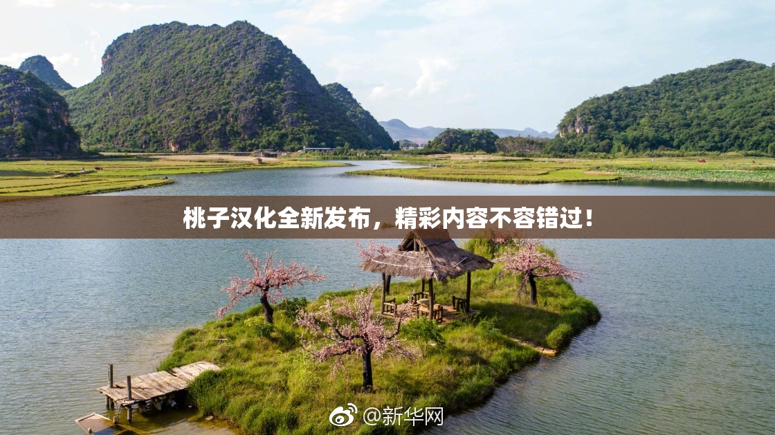 桃子汉化全新发布，精彩内容不容错过！