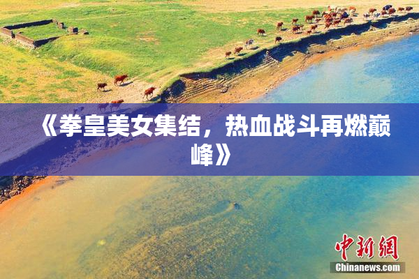 《拳皇美女集结，热血战斗再燃巅峰》