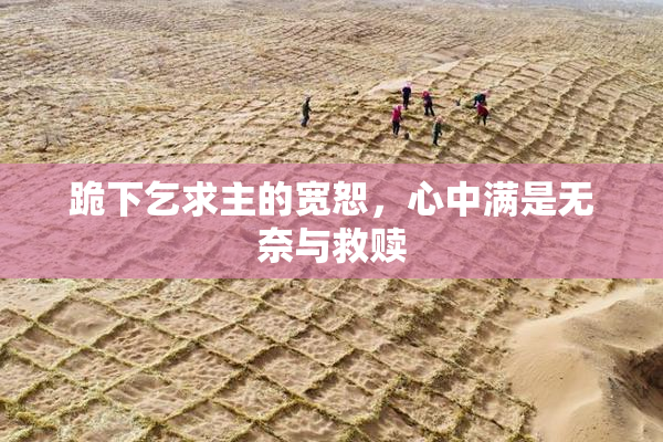 跪下乞求主的宽恕，心中满是无奈与救赎