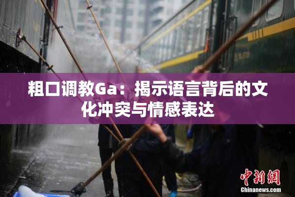 粗口调教Ga：揭示语言背后的文化冲突与情感表达