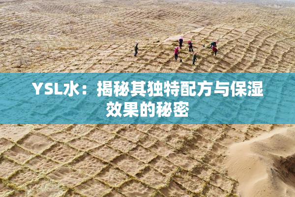 YSL水：揭秘其独特配方与保湿效果的秘密