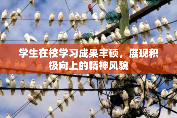学生在校学习成果丰硕，展现积极向上的精神风貌