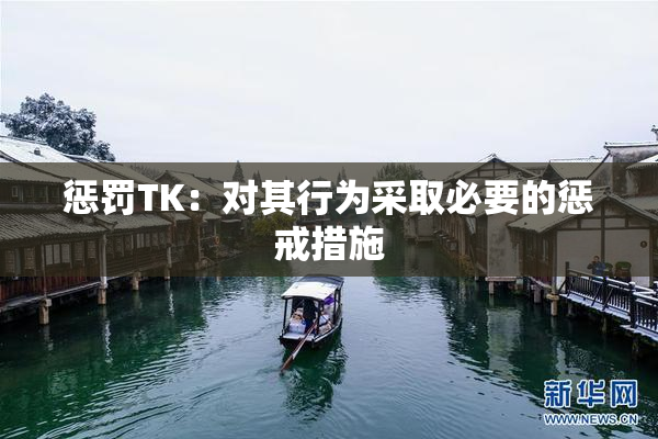 惩罚TK：对其行为采取必要的惩戒措施