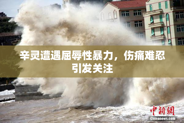 辛灵遭遇屈辱性暴力，伤痛难忍引发关注