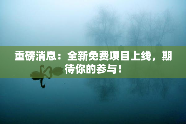 重磅消息：全新免费项目上线，期待你的参与！