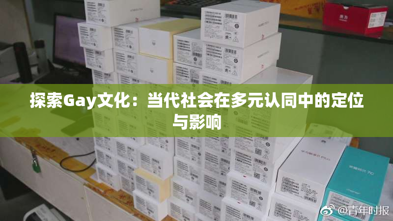 探索Gay文化：当代社会在多元认同中的定位与影响