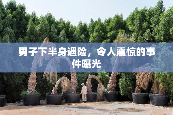 男子下半身遇险，令人震惊的事件曝光