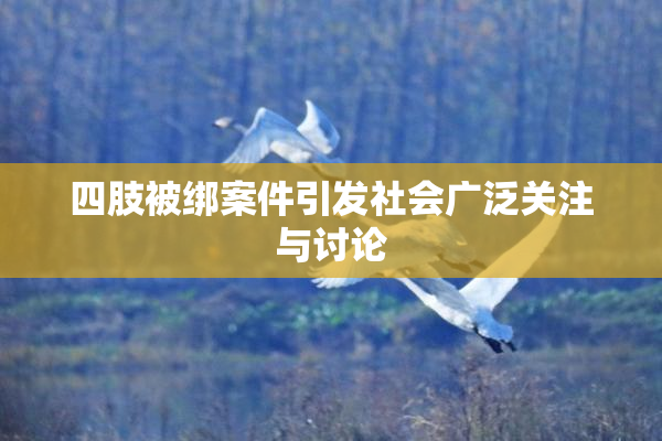 四肢被绑案件引发社会广泛关注与讨论