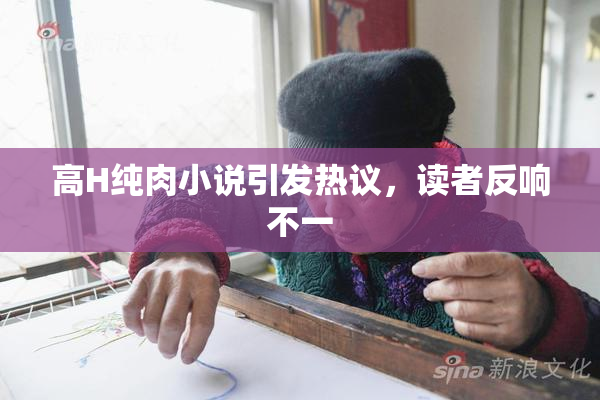 高H纯肉小说引发热议，读者反响不一