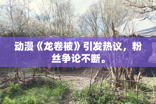动漫《龙卷被》引发热议，粉丝争论不断。