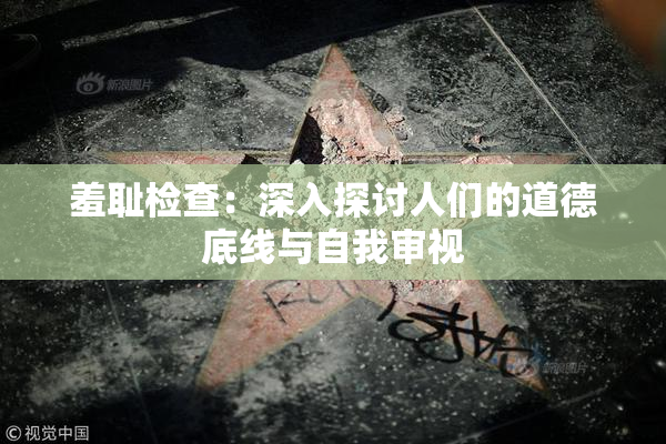 羞耻检查：深入探讨人们的道德底线与自我审视