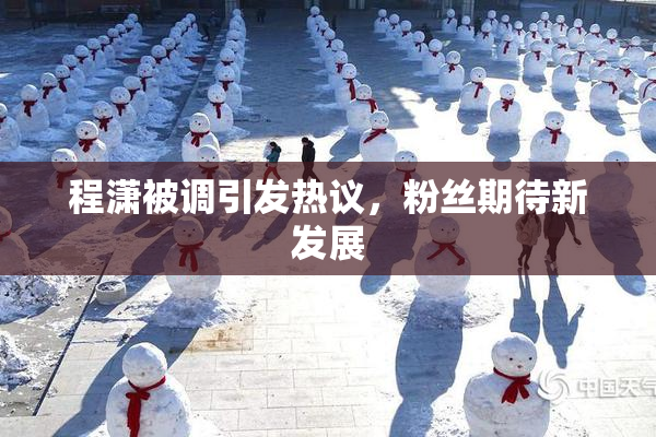程潇被调引发热议，粉丝期待新发展