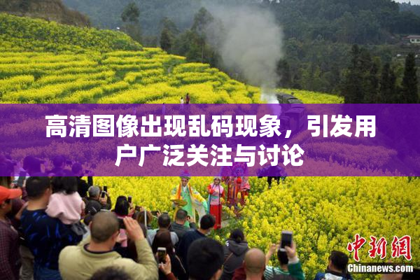 高清图像出现乱码现象，引发用户广泛关注与讨论
