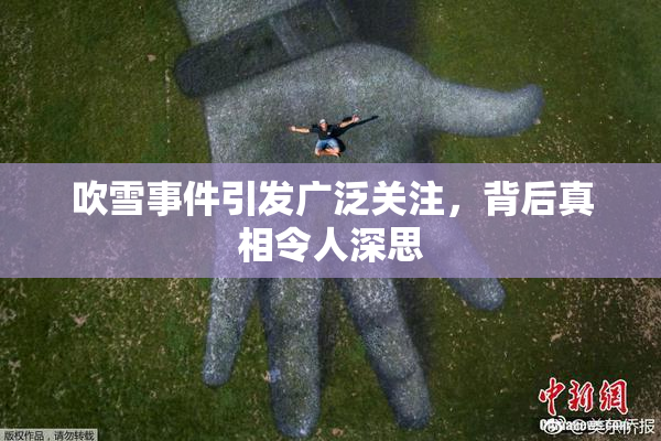 吹雪事件引发广泛关注，背后真相令人深思