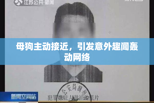 母狗主动接近，引发意外趣闻轰动网络