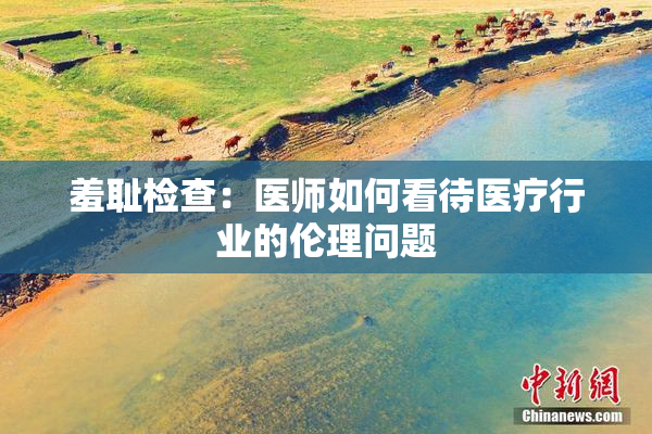 羞耻检查：医师如何看待医疗行业的伦理问题